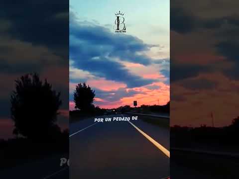 Pierdo la Cabeza Remix - Zion y Lennox |Lyrics #letralyrics #lyrics #lyricvideo #reggaeton #viral