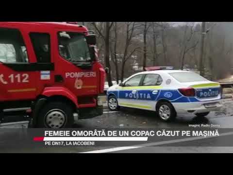 FEMEIE OMORÂTĂ DE UN COPAC CĂZUT PE MAȘINĂ PE DN17, LA IACOBENI