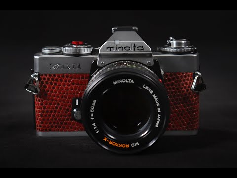 🎞️ Minolta XD7 - Image 2