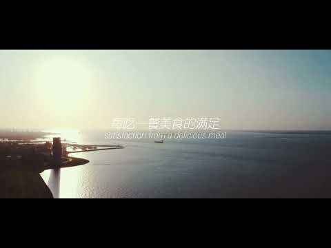 drone in terneuzen #1