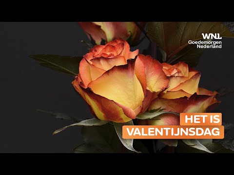 Robert ten Brink over Valentijnsdag: 'Vertel diegene van wie je houdt hoe bijzonder diegene is'