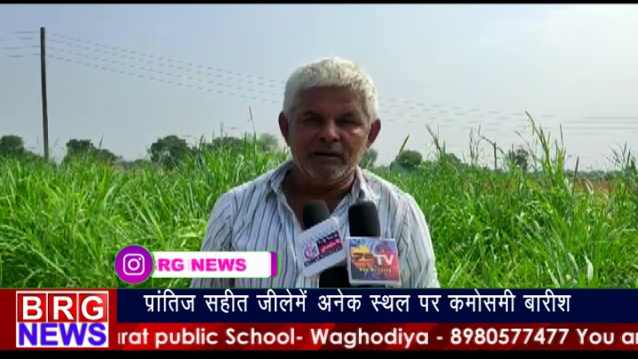 Sabarkatha news : प्रांतीज सहित jilleमें अनेक स्थल पर कमोसमी rain | BRG NEWS | Kmoshami Barish