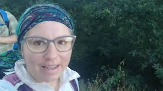 Day 33: El Acebo to Ponforada aka bug bites