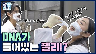 내가 원하는 DNA를 찾아주는 은행이 있다!?ㅣ한국인간유전자은행ㅣ생생실험실 이미지