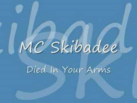Mc Skibadee - Died In Your Arms
