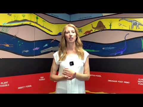 The -Ologist Series: Paleontology with Dr. Aubrey Bonde