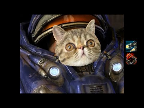 #174: Double Trouble - Tychus Solo (p2) [Starcraft 2 Co-op Mutation] (Cheese)