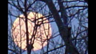 The Death of Ferdinand de Saussure