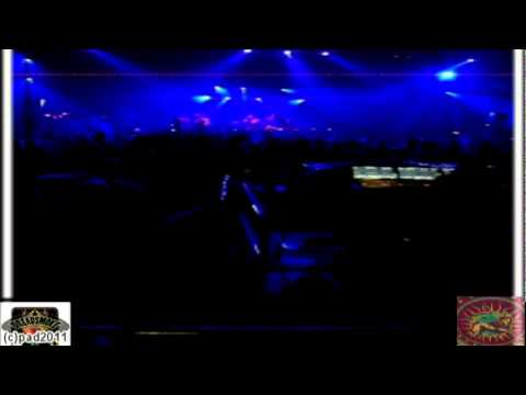 CONGO NATTY (uk) ft tenor fly ls mc phoebe - back in di jungle of dub pt5 \ @ dour festival 11