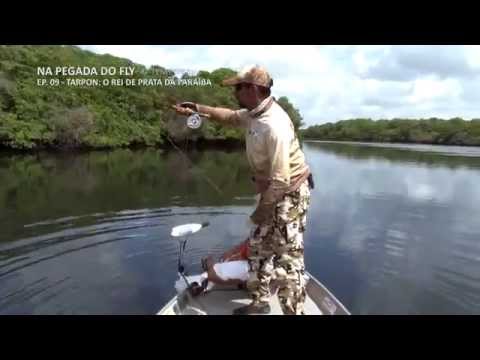 Tarpons no Brasil!