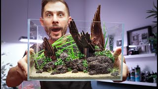 UNS 3N Nano Aquascape Tutorial - Ryuboku for Beginners
