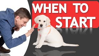 When Should you Start Training your Dog?