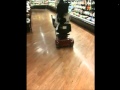 Melissa Marie General Grocery Shopping