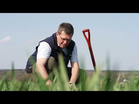 „Wir leben Getreide“ Feld-Reporter Ralf Becker am 12.04.2021: Wachstumsregler und frühe Fungizide
