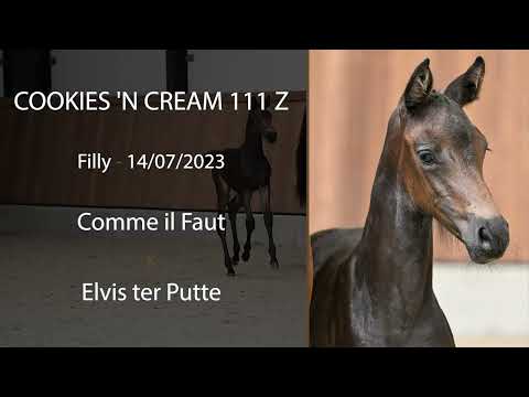 Cookies 'n Cream 111 Z (Comme Il Faut x Elvis Ter Putte)