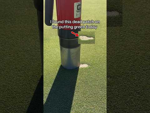 Where did this dead patch come from? 🤔 #golf #golfcourse #fix #satisfying #golfing #trending #diy