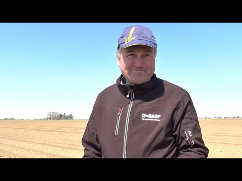 BASF Online-Feldtag in Grucking – aktuelle Empfehlungen in der Zuckerrübe