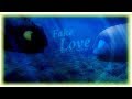 【ღ ＨＴＴＹＤ ３- Fake Love ღ】