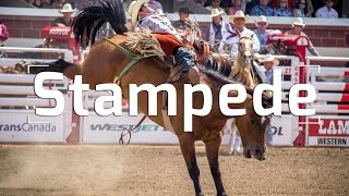THE CALGARY STAMPEDE: RANCHES &amp; RODEOS - YouTube