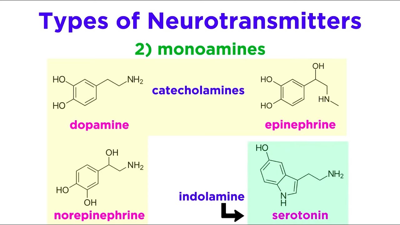 Neurotransmitters: Type, Structure, and Function