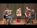 Brahms Clarinet Quintet Op 115, 1. Allegro