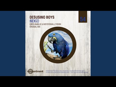 Indigo (Carolinablue & Mistersmallz Remix)