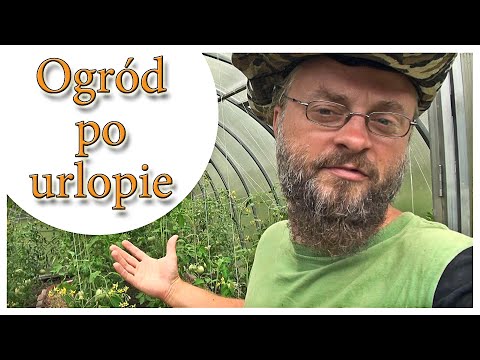 Ogród po urlopie - 10 dni bez opieki - Ogrodowe pierdamony 116