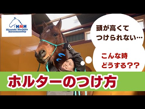 馬用ホルターの種類 - 馬用ノットホルター