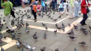 Venezia Italia  Venice Italy ♯3 ベネチア