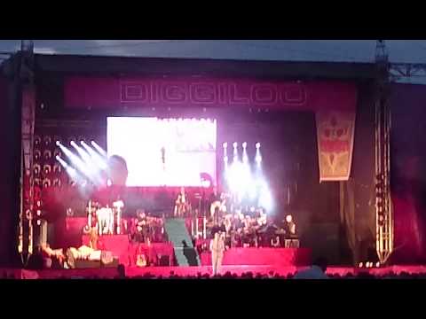 Diggiloo 2014- Per Andersson