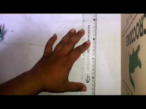 cara buat cabang sekaligus elbo