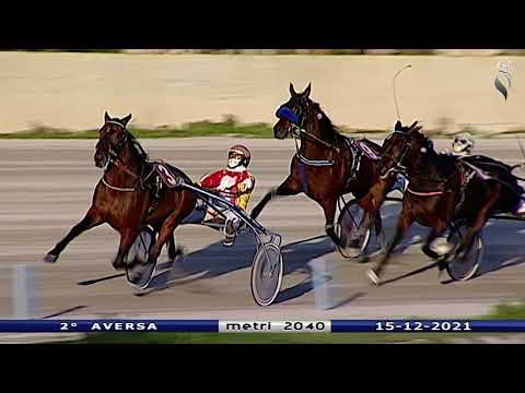 Aversa trotto 15 Dicembre 2021 - 2° Corsa
