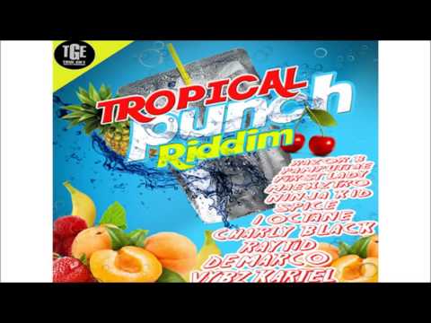 Tropical Punch Riddim mix JULY 2016   True Gift Entertainment  by Djeasy