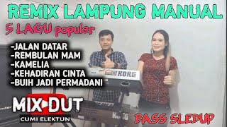 Download lagu REMIK LAMPUNG JALAN DATAR_BUIH JADI PERMADANI_kamelia_kehadiran cinta_ terbaru 2022 MANTAP BASS HORE mp3