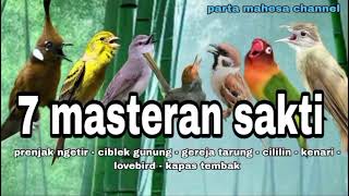 Download lagu Masteran Murai batu Tembakan Kasar Irama Lagu Sejalur - Materi Mewah Untuk Burung Lomba mp3