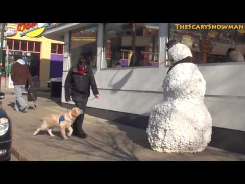 Scary Snowman Puppy Dog Scare Prank Compilation