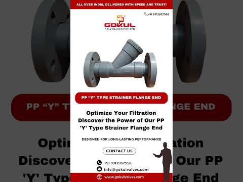 Pp Y Type Strainer Flange End