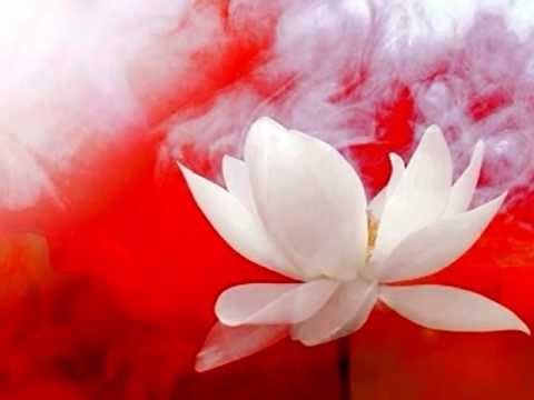 Kashi Ko Dekha Nahin [Full Song] (HD) - Sachai Ki Taqat