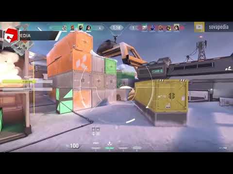 Pro Player Predictions that are INSANELY BIG BRAIN  Valorant