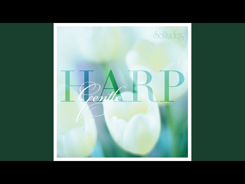 Kinderszenen, Op. 15: VI. Traumerei in F Major
