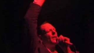 World Inferno - Brighton - Hot House Flowers