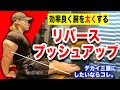 【効率良く腕を太くする】リバースプッシュアップを教えます。