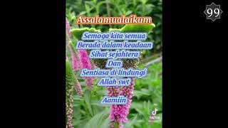 Download lagu Assalamualaikum Selamat Pagi | TIK TOK mp3 Download lagu Assalamualaikum Selamat Pagi | TIK TOK mp3