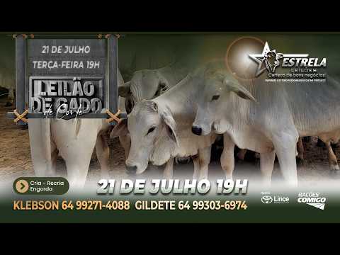 ESTRELA LEILÕES  - AO VIVO - 21/07/2026  -  19H - MORRINHOS - GOIÁS