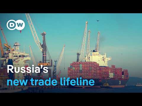 India-Russia trade hits record high | DW News
