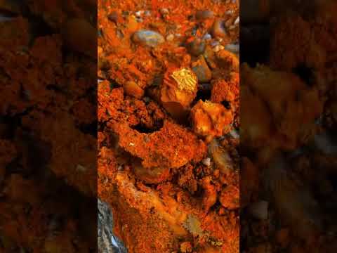 Gold bones, gold veins, gold paths, gold Gold nuggets,!!!  #findinggold #treasuresearch