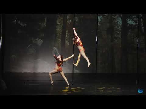 POLE ART ITALY 2020 ANERES & SIEL DOUBLE SEMI PRO WINNERS