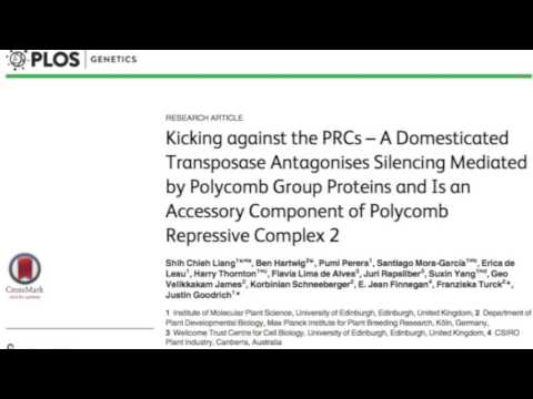 Justin Goodrich (University of Edinburgh) talks to GARNet