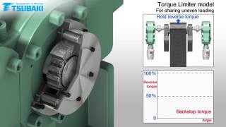 Tsubaki Backstop Cam Clutch BR-HT Series