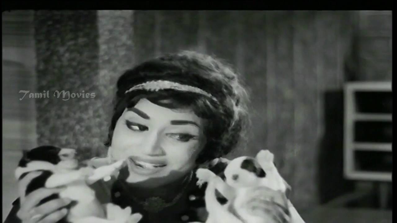 Lilli Lalli Jimmi Song Lyrics | Selvam | L. R. Eswari